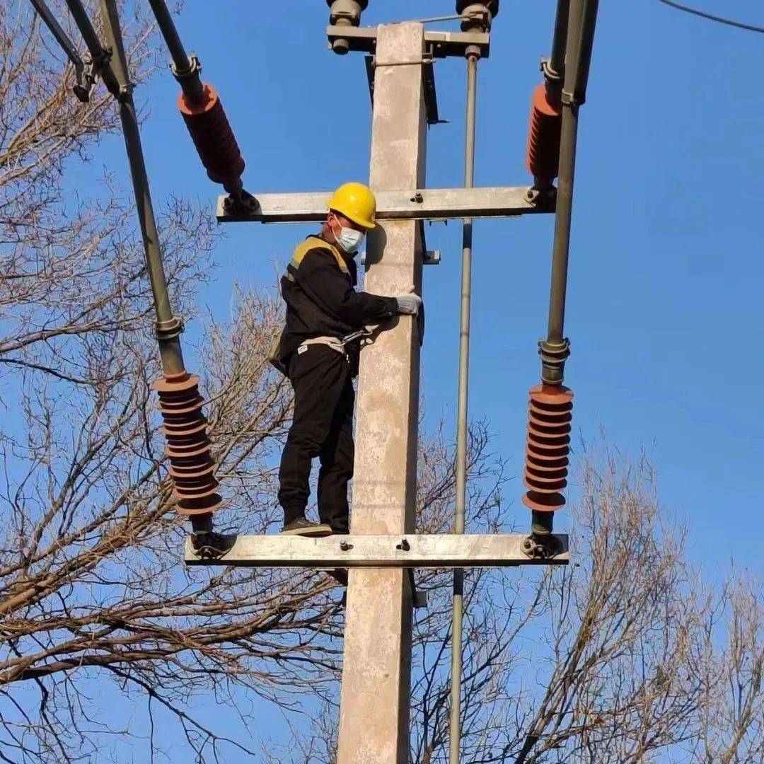 電銷神器大揭秘：哪款最適合你？
